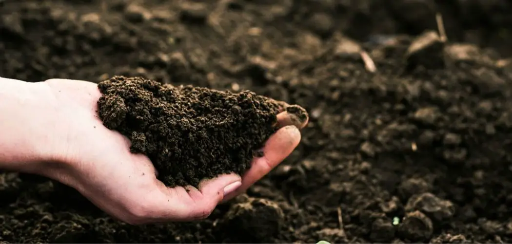 4 Amazing Tips on How to Make Soil More Fertile - Full Guide