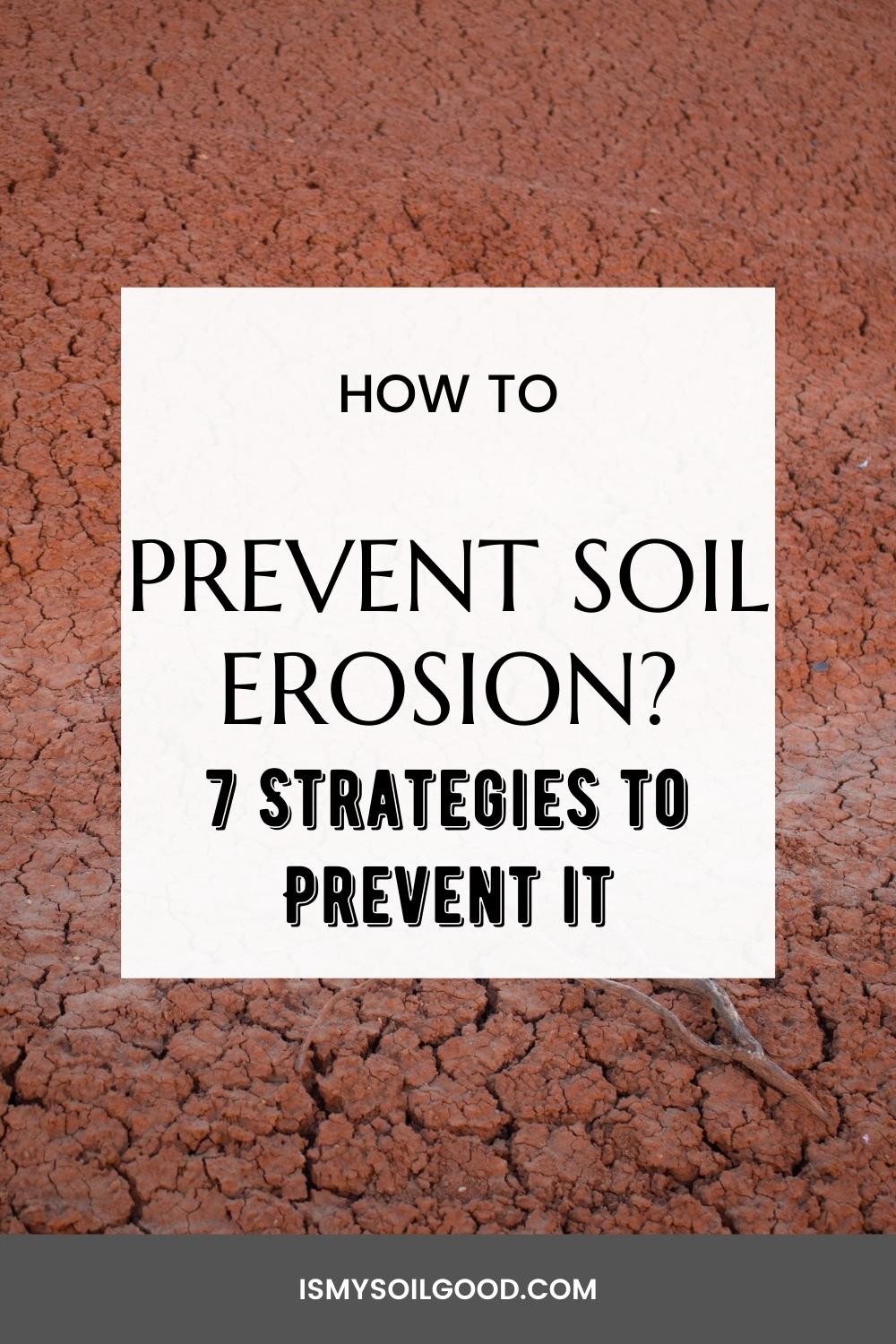 How To Prevent Soil Erosion 7 Strategies To Prevent It