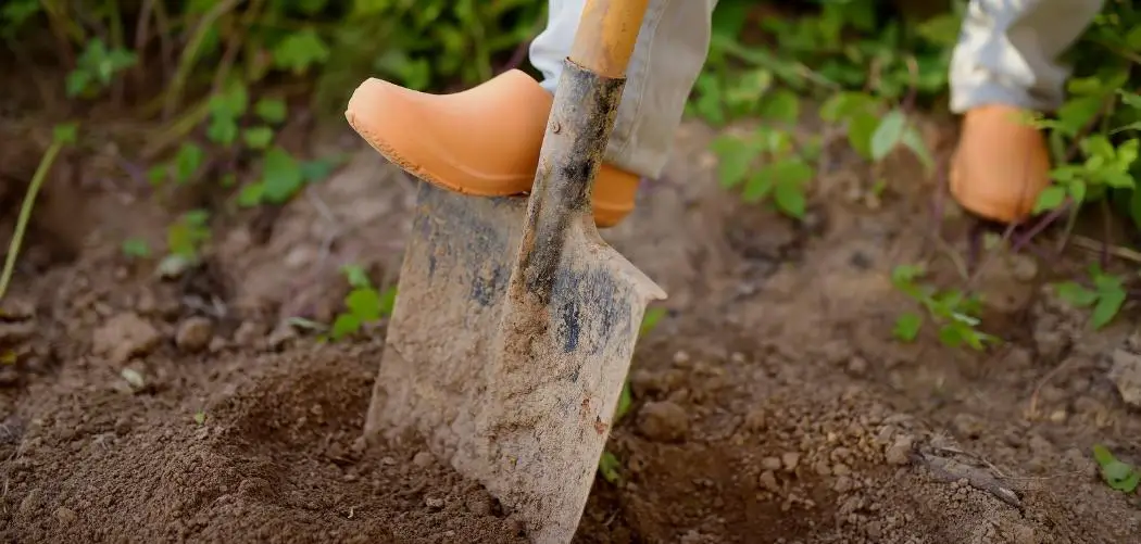 Is Wet Soil Easier To Dig Or Is Dry Soil The Way To Go?